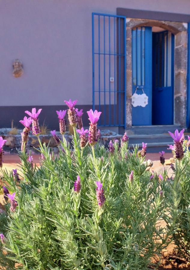 B&B Casanera Riposto Kültér fotó