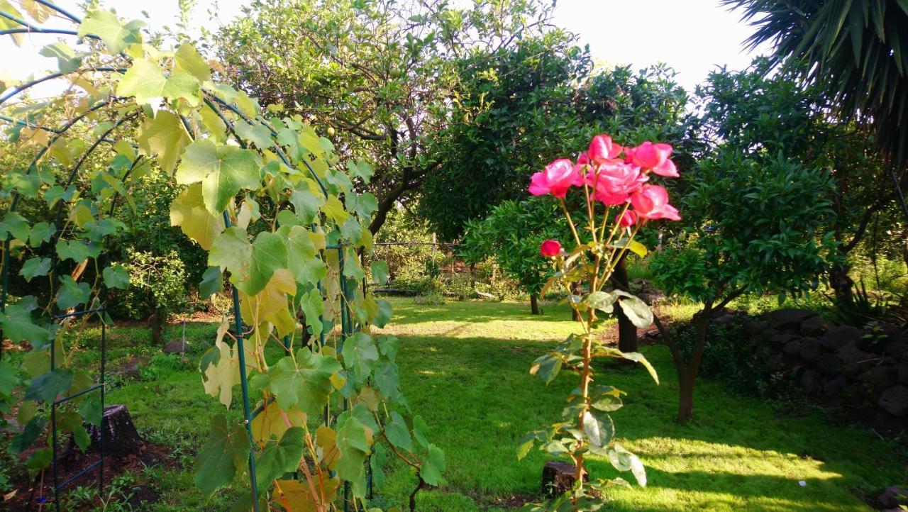 B&B Casanera Riposto Kültér fotó