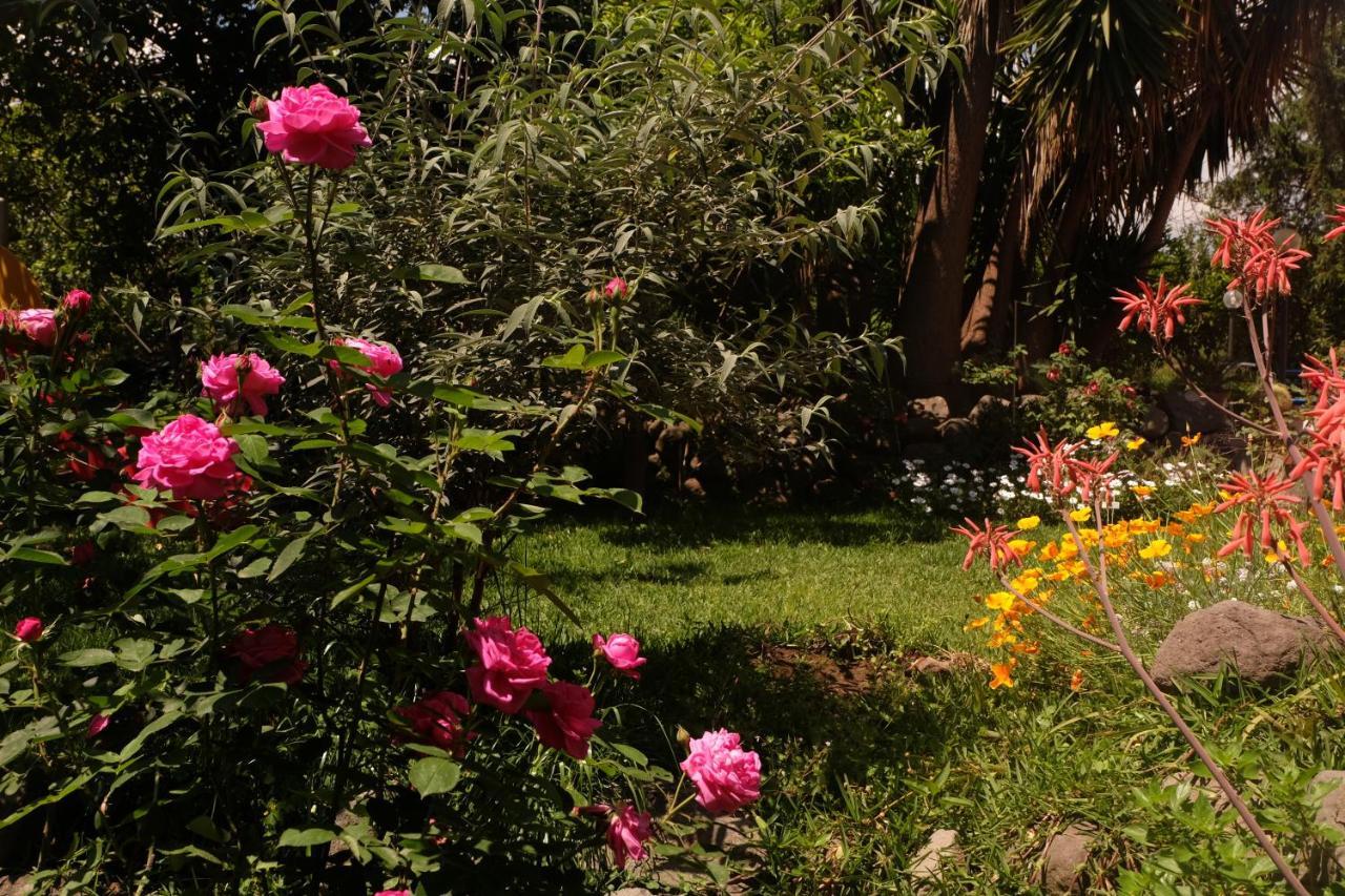 B&B Casanera Riposto Kültér fotó