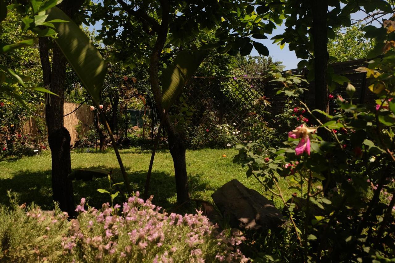 B&B Casanera Riposto Kültér fotó