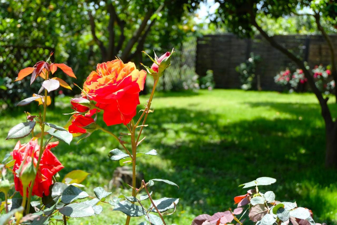 B&B Casanera Riposto Kültér fotó